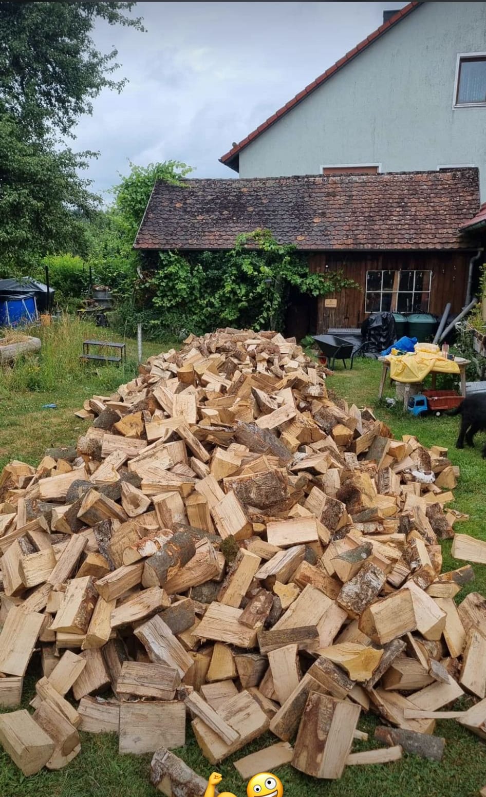Frisch gespaltenes Brennholz auf der Wiese in Zips