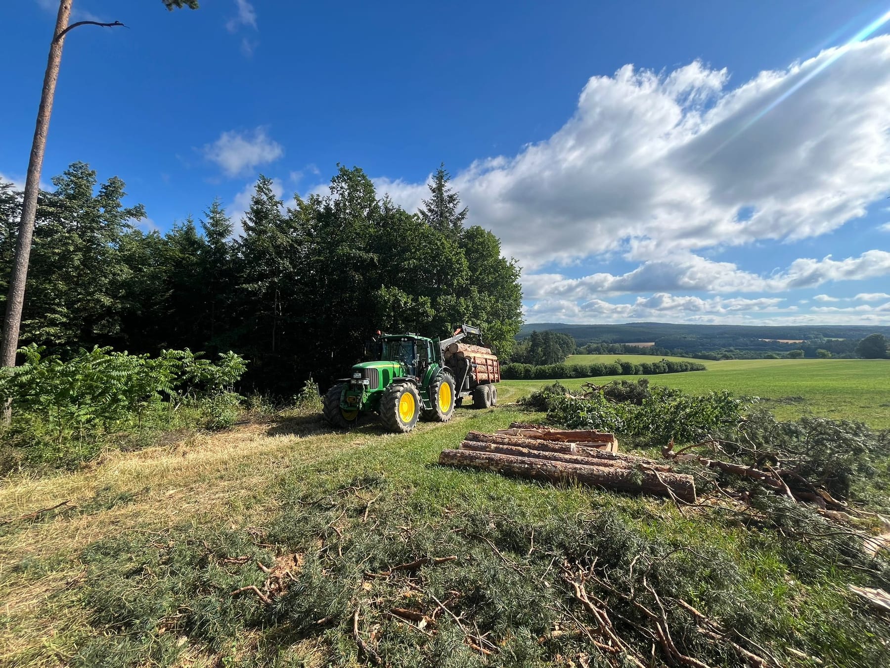 Traktor mit beladenem Wagen am Waldrand